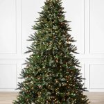 Sapin Saratoga Spruce®