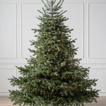 Sapin Fifth Avenue Flatback™ Sapin Fifth Avenue Flatback™