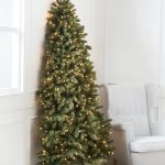 Sapin Fir Européen®