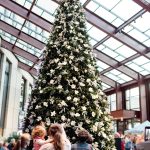 Sapin de montagne Berkshire® Sapin de montagne Berkshire®